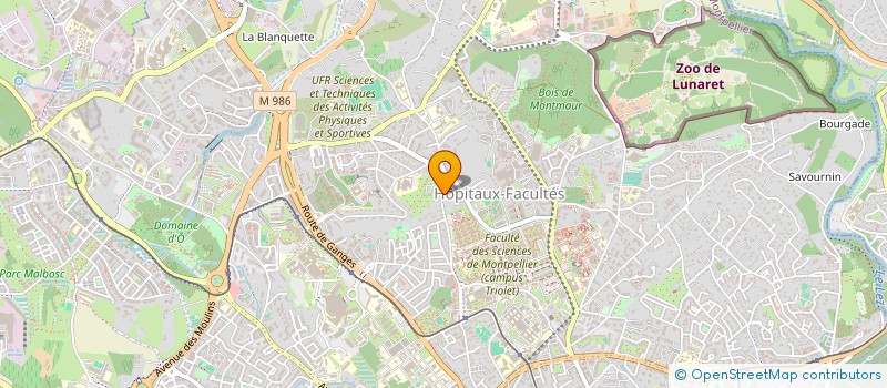 localisation de l'entreprise MADAME FARAH RHOUAT à MONTPELLIER