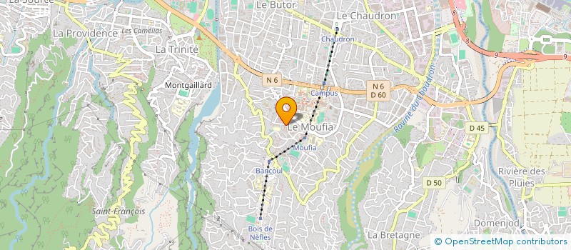 localisation de l'entreprise MADAME FARALALAINA RAJOELISON à SAINT-DENIS