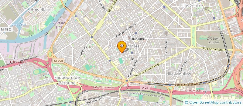 localisation de l'entreprise MADAME FARIDA AMALA à LILLE