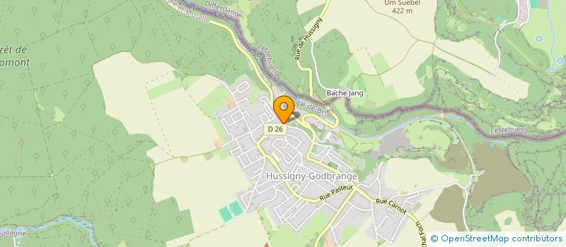 localisation de l'entreprise MADAME FARIDA BERBACHE  HUSSIGNY-GODBRANGE
