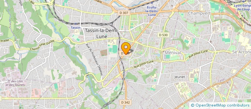 localisation de l'entreprise MADAME FARIDA OUZIB  TASSIN-LA-DEMI-LUNE