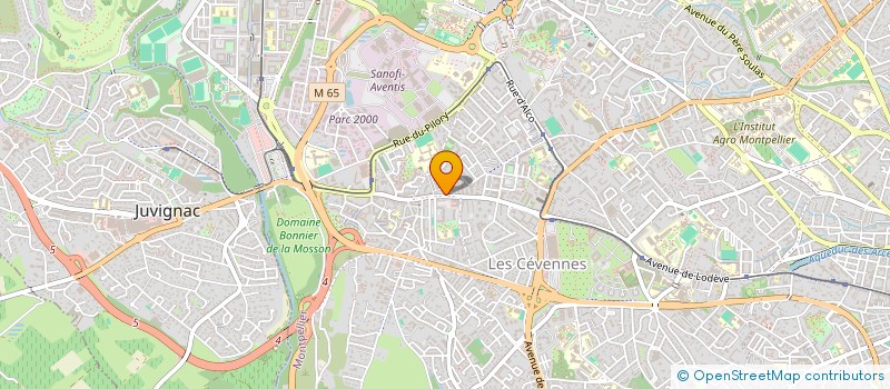 localisation de l'entreprise MADAME FATIMA AZZOUZI à MONTPELLIER