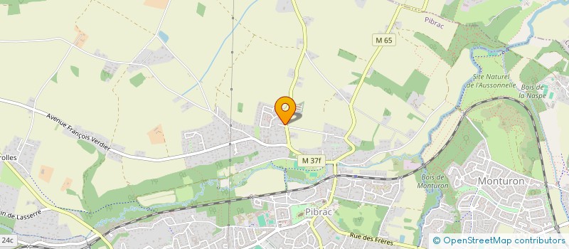 localisation de l'entreprise MADAME FATIMA BENHAMZA  PIBRAC