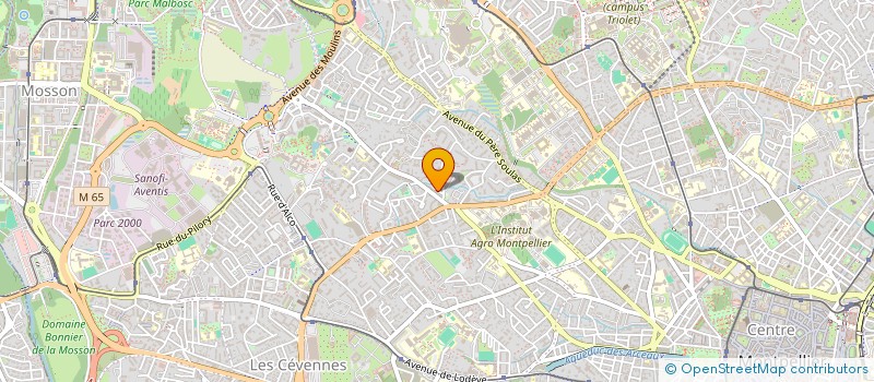 localisation de l'entreprise MADAME FATIMA BOUJIDI à MONTPELLIER