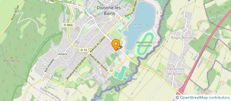 localisation de l'entreprise MADAME FATIMA EL YAZIDI à DIVONNE-LES-BAINS