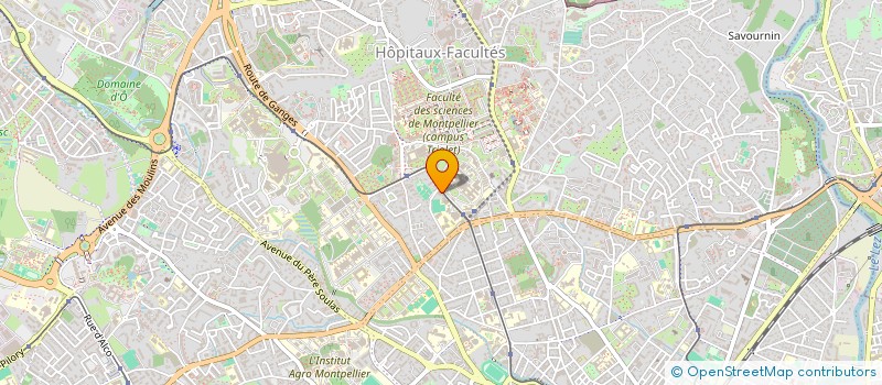 localisation de l'entreprise MADAME FATIMA LOUKILI à MONTPELLIER