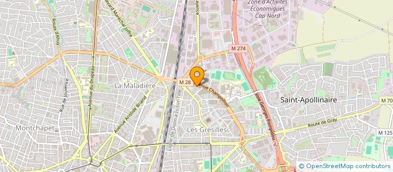 localisation de l'entreprise MADAME FATIMA SALHI  DIJON