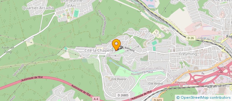 localisation de l'entreprise MADAME FATIMATULZEHRA TURKE  FREYMING-MERLEBACH