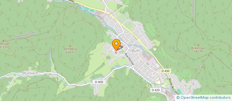 localisation de l'entreprise MADAME FATMA YAGBASAN  BUHL