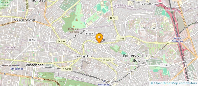 localisation de l'entreprise MADAME FATOUMA DIAKHO à FONTENAY-SOUS-BOIS