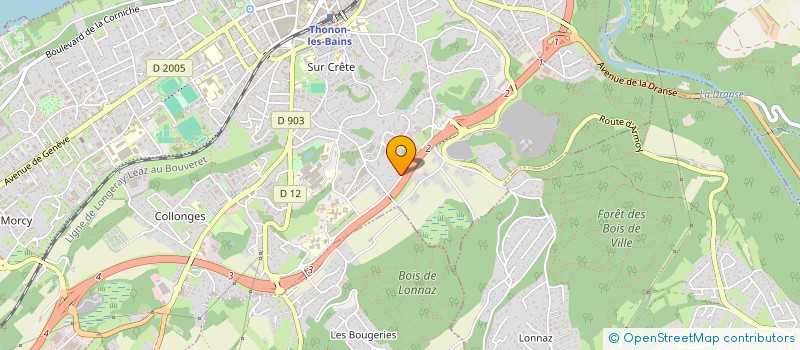 localisation de l'entreprise MADAME FATOUMA LOTOKO  THONON-LES-BAINS