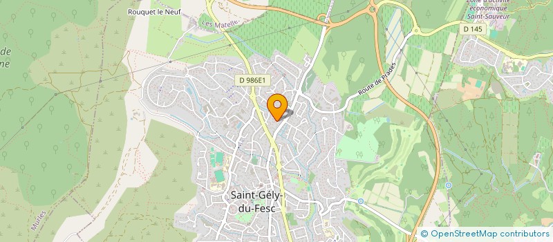 localisation de l'entreprise MADAME FATOUMATA CISSE  SAINT-GELY-DU-FESC