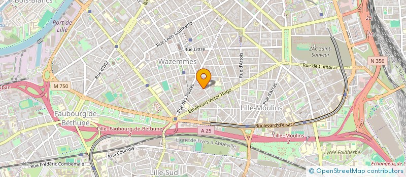 localisation de l'entreprise MADAME FATOUMATA KABA à LILLE