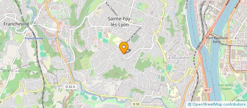 localisation de l'entreprise MADAME FATOUMATA SY  SAINTE-FOY-LES-LYON