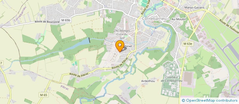 localisation de l'entreprise MADAME FELICIA CARAIAN  CORNEBARRIEU