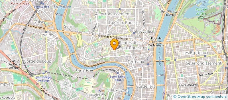 localisation de l'entreprise MADAME FELICIE BOLOT à LYON