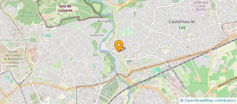 localisation de l'entreprise MADAME FELICIE BRUNELLI à CASTELNAU-LE-LEZ