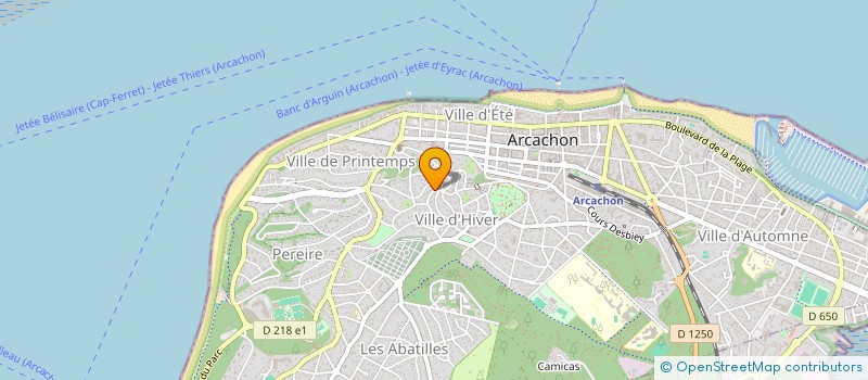 localisation de l'entreprise MADAME FELICIE DECHELOTTE  ARCACHON