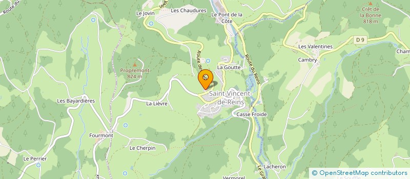 localisation de l'entreprise MADAME FELICIE VERMOREL à SAINT-VINCENT-DE-REINS