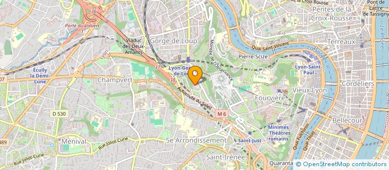 localisation de l'entreprise MADAME FELICITE NDOKO ENDENE  LYON