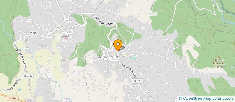 localisation de l'entreprise MADAME FERNANDA DE AMORIM  MONTAUROUX