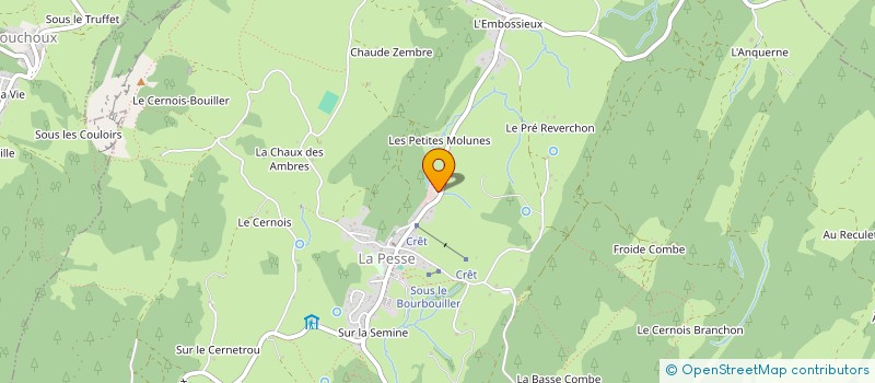 localisation de l'entreprise MADAME FERNANDE JEANTET  LA PESSE