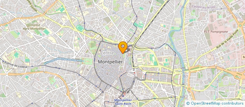 localisation de l'entreprise MADAME FERNANDE MARIE DUARTE à MONTPELLIER