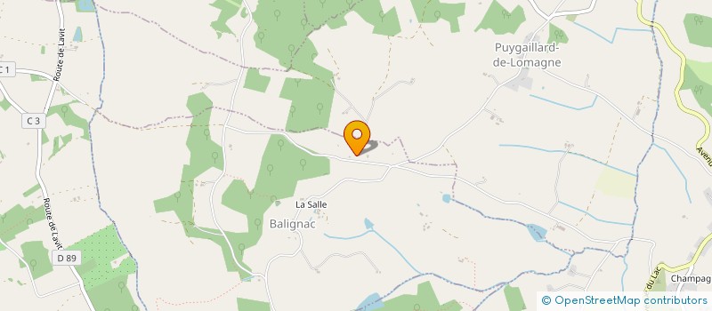 localisation de l'entreprise MADAME FIDELMA COOK  BALIGNAC