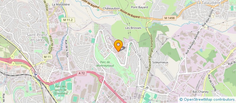 localisation de l'entreprise MADAME FIGENIA TOPCHEVA  SAINT-ETIENNE