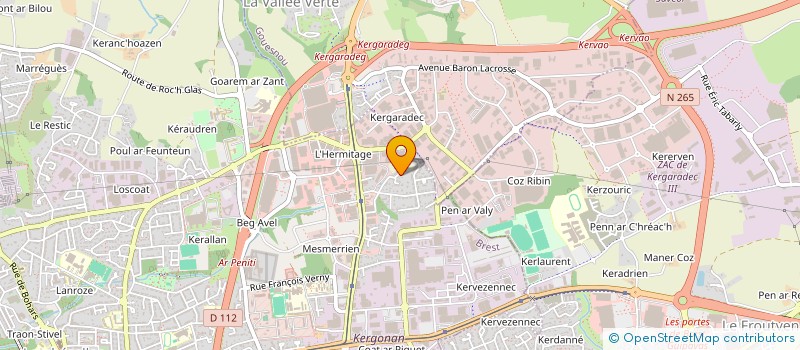 localisation de l'entreprise MADAME FILIZ NARIN à BREST