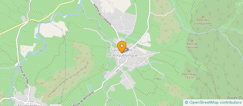 localisation de l'entreprise MADAME FILOMENA PINTO FONSECA  SAINT-ANDRE-DE-ROQUELONGUE