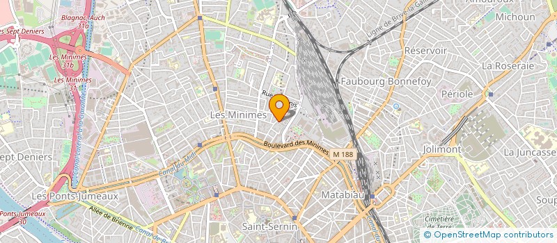 localisation de l'entreprise MADAME FLAVIE JOYE à TOULOUSE