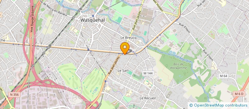 localisation de l'entreprise MADAME FLAVIE MAES  VILLENEUVE-D'ASCQ