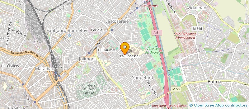 localisation de l'entreprise MADAME FLAVIE MARCO  TOULOUSE