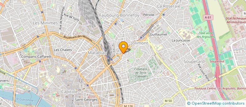 localisation de l'entreprise MADAME FLAVIE ROUAIX  TOULOUSE