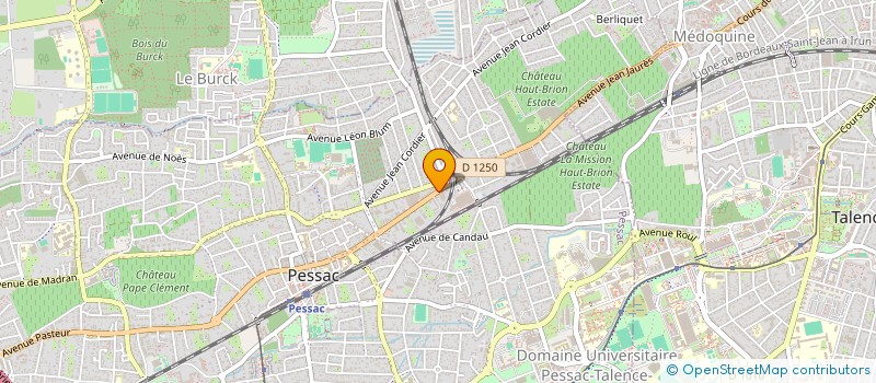 localisation de l'entreprise MADAME FLEUR BOURRELLIS  PESSAC