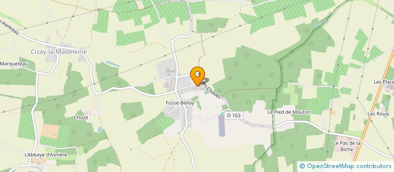 localisation de l'entreprise MADAME FLEUR DESCHAMP  CIZAY-LA-MADELEINE