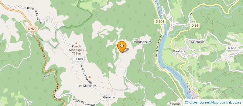 localisation de l'entreprise MADAME FLEURETTE LAVAYSSIERE  ENTRAYGUES-SUR-TRUYERE