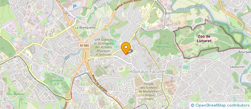 localisation de l'entreprise MADAME FLOR ANGEL MORALES ALIAGA à MONTPELLIER
