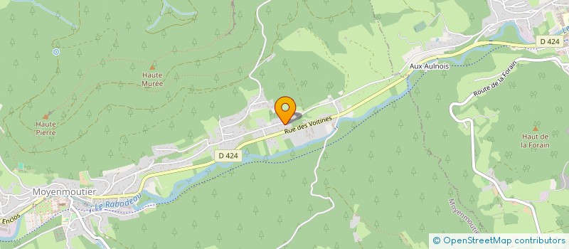 localisation de l'entreprise MADAME FLORA BAJEK  MOYENMOUTIER