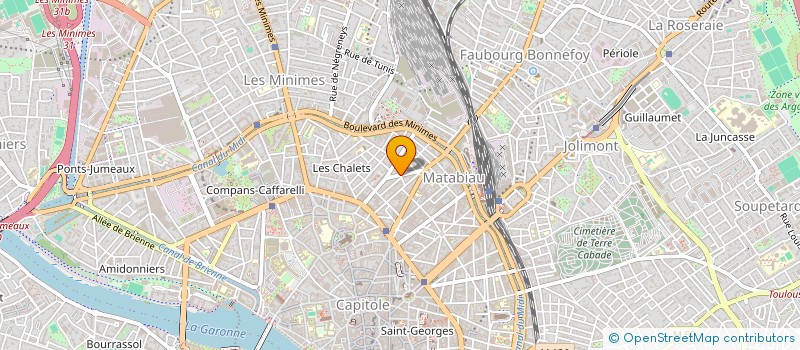 localisation de l'entreprise MADAME FLORA BOURGUIGNON à TOULOUSE