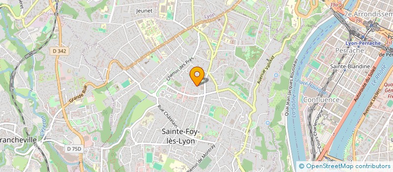 localisation de l'entreprise MADAME FLORA DE MOLLERAT DU JEU à SAINTE-FOY-LES-LYON