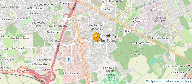 localisation de l'entreprise MADAME FLORA LIVET  CHAMBRAY-LES-TOURS