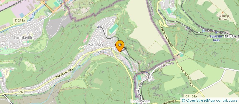 localisation de l'entreprise MADAME FLORA NANMOUDJEU  SAULNES