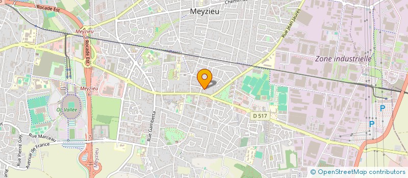 localisation de l'entreprise MADAME FLORA SEDRAKYAN à MEYZIEU