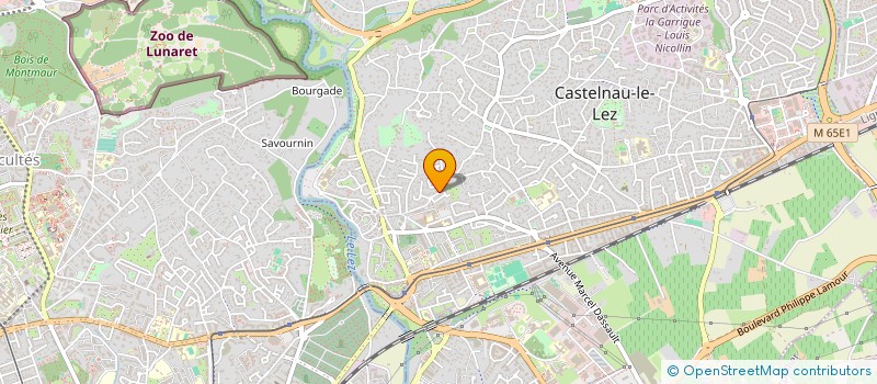 localisation de l'entreprise MADAME FLORE BESSE à CASTELNAU-LE-LEZ