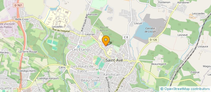localisation de l'entreprise MADAME FLORE CALGARO à SAINT-AVE