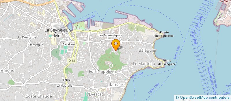 localisation de l'entreprise MADAME FLORE NGO KONA  LA SEYNE-SUR-MER