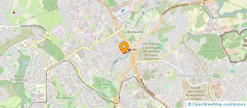 localisation de l'entreprise MADAME FLORE WEGMANN à MONTPELLIER