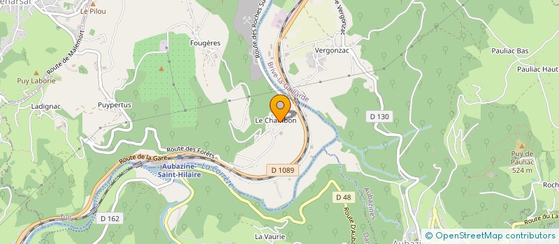 localisation de l'entreprise MADAME FLORENCE ASTORG  SAINT-HILAIRE-PEYROUX